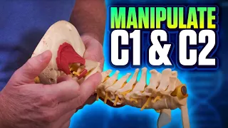 How to Manipulate the Cervical Spine (AA) Joint of C1/C2