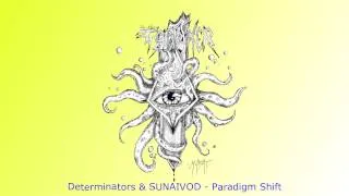 Determinators & SUNAIVOD - Paradigm Shift