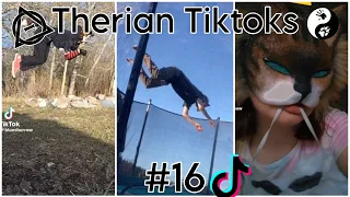 Therian Tiktoks #16