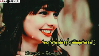 Za Da Muhabbat Yawa Ghoncha Yma ( Slow + Reverb pashto new song tiktok viral