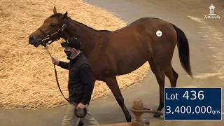 Most expensive yearling filly sold in the world in 2020