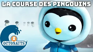 Octonauts - 🐧 La course des pingouins 🚜 | Compilation | Dessins animés pour enfants