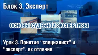 Блок 3. 3-й урок "Понятия “специалист” и “эксперт”, их отличия"