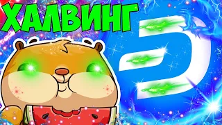 НЕ ПРОДАВАЙ DASH ДО ХАЛВИНГА! ХАЛВИНГ 17 ИЮНЯ! ПРОГНОЗ КРИПТОВАЛЮТЫ ДЕШ! SEC СКАМИТ АНОНИМНЫЕ МОНЕТЫ