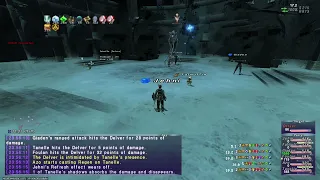 FFXI - Eden 75-Era Private Server - Promyvion Mea Clear