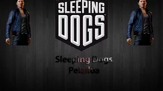 Sleeping Dogs Hauskat Hetket!