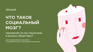 Что такое социальный мозг? Одинаково ли мы социальны в разных обществах?