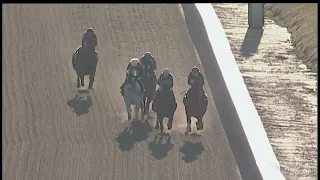 LAUREL PARK 02 03 2024 RACE 9