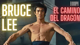 Bruce Lee: La esencia del dragón.