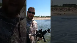 I shot a paddlefish #bowfishing #archery #crossbow #cobraadder