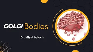 Golgi Bodies || FSC-1 || Dr. Miyal baloch