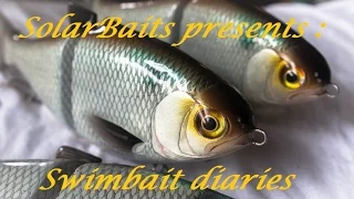 swimbait chronicles: how I made a gizzard shad glide bait