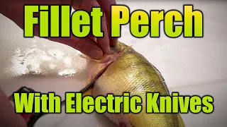 How to Fillet Perch w/ Electric Knives