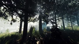 PS4 - The Forest Trailer