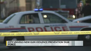 City unveils new Gun Violence Prevention Task Force