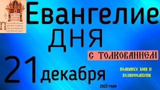 Евангелие дня с толкованием 21 декабря  2022 года 90 псалом