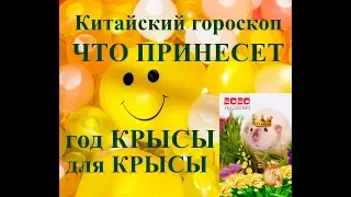 Год КРЫСЫ для КРЫСЫ. Китайский гороскоп 2020. Таропрогноз.