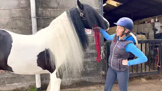 Sue Helen Shuttleworth demonstrates how to trim the mane of a traditional coloured cob.