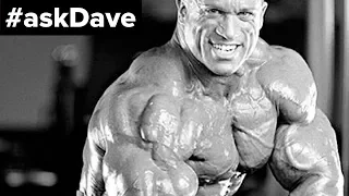 Bulking vs. Cutting Phases #askDave