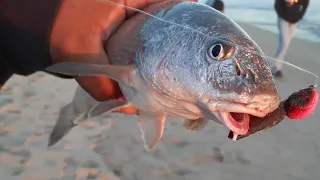 MOST EFFICIENT WAY TO TARGET OC BEACHES / SURF-HEADS IN THE SKINNY WATERS