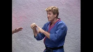 DVD # 14 TOP TEN SELF DEFENSE TECHNIQUES  JOE LEWIS DVD SERIES