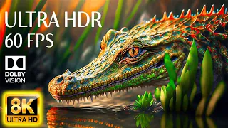 8K HDR 60FPS Dolby Vision - SPECTACULAR ANIMALS 8K ULTRA HD (60FPS HDR10+)