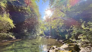 Siouxon Creek Campout- CRYSTAL CLEAR WATER