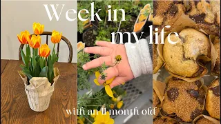 WEEK IN MY LIFE VLOG - Trader Jo’s, Mother’s Day shopping, baking, and lots of car chats