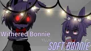 [🌙] Withered Bonnie meets Soft Bonnie •|—|• Navy Moon