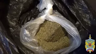 Более 4,5 кг марихуаны нашли полицейские у иностранца в Подмосковье