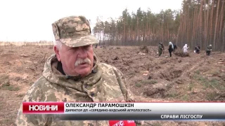 Керівник сумського облагролісу Костянтин Товстуха з робочим візитом  у Середино-Будському лісгоспі