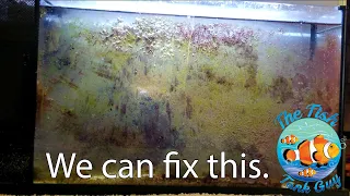 Cleaning a Super Dirty Aquarium.