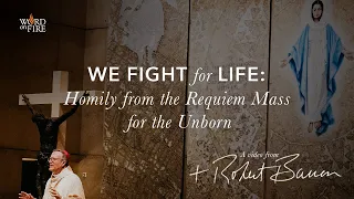 We Fight for Life: Homily from the Requiem Mass for the Unborn