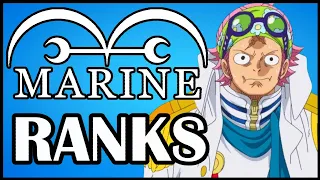 All Marines & Their Ranks!! (New Version) - One Piece Discussion | Tekking101