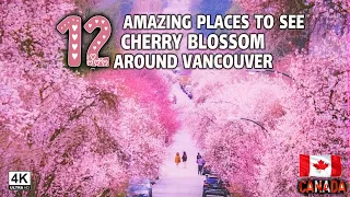 🇨🇦 【4K】🌸🌸🌸 12 Places to See Cherry Blossoms in March and April in Vancouver BC, Canada.
