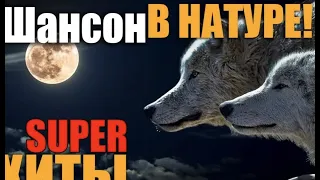 Шансончик в натуре -  супер хиты.. вам очень понравится!!!