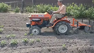 Мінітрактор Kubota B1-10 підгортаємо картоплю дисками від мотоблока !