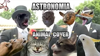 Coffin Dance but it's sounds like animals [Tony Igy - Astronomia (Animal Cover)]