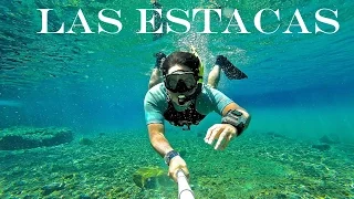 Las Estacas | Diving | Mexico | GoPro