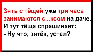 Зять с тёщей уже три часа занимаются се...сом... Анекдоты! Юмор! Позитив!