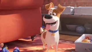 The Secret Life of Pets 2 - Trailer - SFF 19