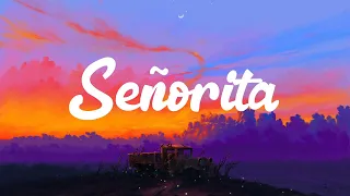 Shawn Mendes - Señorita (Lyrics)