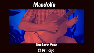 Como Tocar "Mandolín" de Gustavo Pena: El Principe | Tutorial de Guitarra