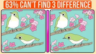 【Find & Spot the Difference】A Little Difficult Find the Difference Puzzle That Will Prevent Dementia