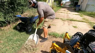 Homeowner Needs Help Getting Lawn Back In Shape - Start To Finish Satisfying Yard Cleanup