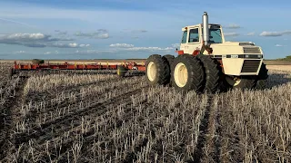 Case 2870 Makes its Debut, and Seeding 2024 Update