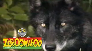 Zoboomafoo 111 - Fierce Creatures (Full Episode)