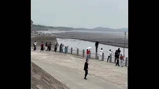 Massive tidal surge hitting the shore.