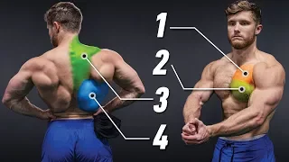 The Most Effective Science-Based Chest & Back Workout (Full Upper Body) | Science Applied