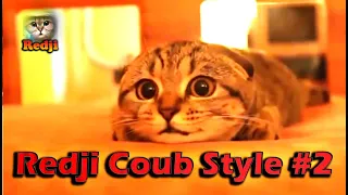 Redji Coub Style #2 ⁄⁄Лучшее в Coub ПРИКОЛЫ Best Coub